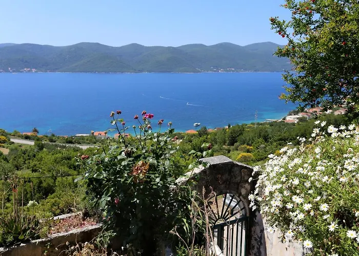 House With A Parking Space - Podac, Peljesac - 10141 Dom wakacyjny