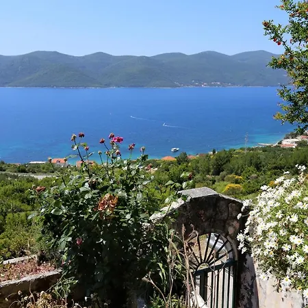 House With A Parking Space - Podac, Peljesac - 10141 Nyaraló