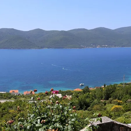 펜션 House With A Parking Space - Podac, Peljesac - 10141